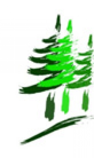 Advokátní kancelář Forest law